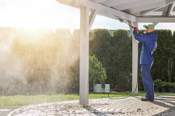  Las Lomas, TX Pressure Washing Pros