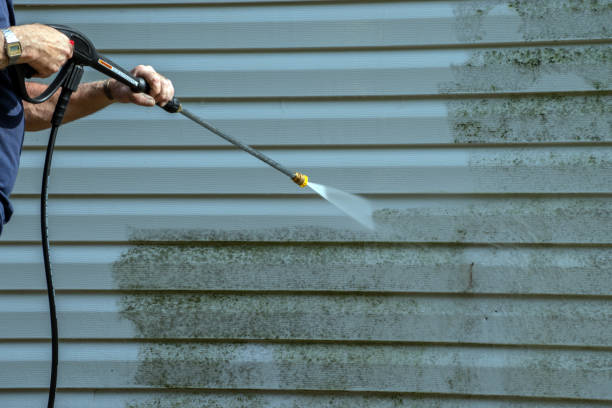Best Concrete Surface Cleaning in Las Lomas, TX