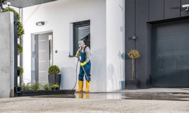 Best Fence Cleaning and Maintenance in Las Lomas, TX